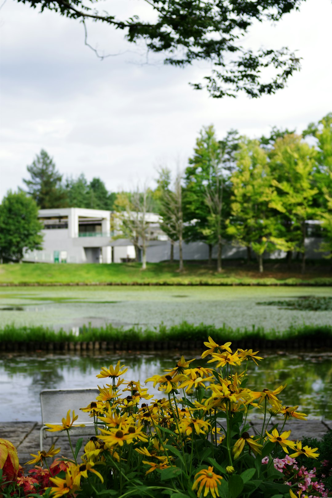 Lakeside Quantum Cottage